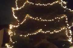 IMG-20201216-WA0020