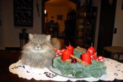 K640_Puszek-Adventskranz