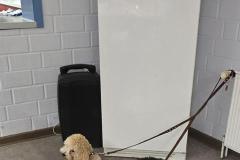 K640_20251119_172615