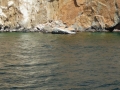 k800_p1020886