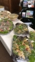 IMG-20180623-WA0013