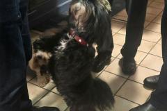 K640_20260214_183211