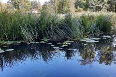 K640_IMG-20210908-WA0246