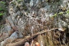 K640_IMG-20210910-WA0024