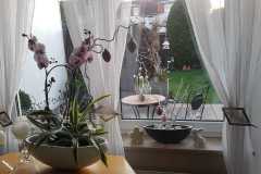 IMG-20200323-WA0031