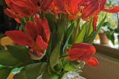 IMG-20200405-WA0003