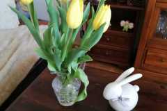IMG-20200406-WA0020