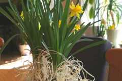 IMG-20200410-WA0031