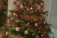 K640_IMG-20201218-WA0034