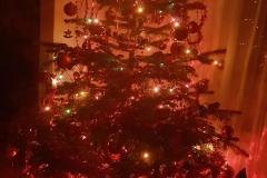 K640_IMG-20201218-WA0035