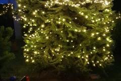 K640_IMG-20201219-WA0016