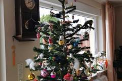 K640_IMG-20201228-WA0008