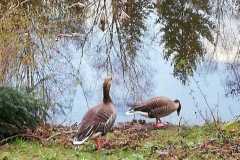 IMG-20200319-WA0019