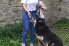 IMG-20200326-WA0022
