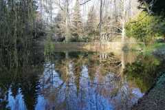 IMG-20200326-WA0066