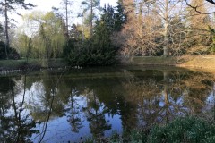 IMG-20200326-WA0073