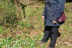 IMG-20200329-WA0014