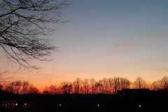 IMG-20200330-WA0012