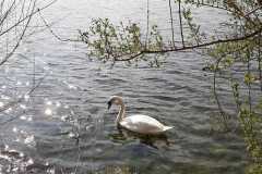 IMG-20200330-WA0014