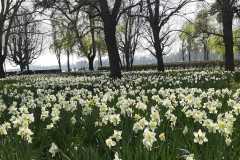 IMG-20200330-WA0016