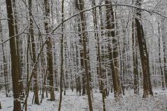 K640_20210125_143444