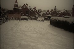 K640_20210208_1248542
