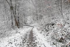 K640_IMG-20210104-WA0016