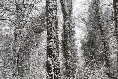 K640_IMG-20210104-WA0017