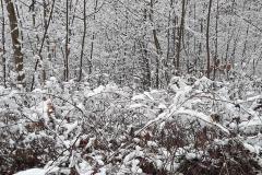 K640_IMG-20210104-WA0019