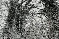 K640_IMG-20210104-WA0020