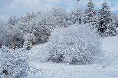 K640_IMG-20210110-WA0043