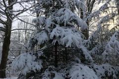 K640_IMG-20210125-WA0015