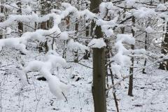 K640_IMG-20210125-WA0016
