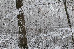 K640_IMG-20210125-WA0017