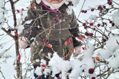 K640_IMG-20210126-WA0001