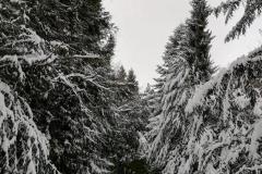 K640_IMG-20210208-WA0056