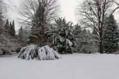 K640_IMG-20210208-WA0059
