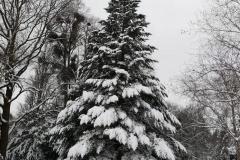 K640_IMG-20210208-WA0063