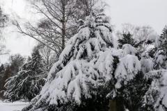 K640_IMG-20210208-WA0064