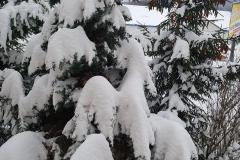 K640_IMG-20210208-WA00681