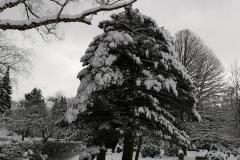 K640_IMG-20210209-WA0024