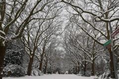 K640_IMG-20210209-WA0026