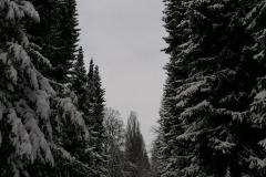 K640_IMG-20210209-WA0028