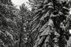 K640_IMG-20210209-WA0032