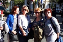 K800_IMG-20190120-WA0129