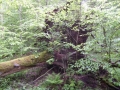 k800_p1050373