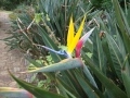 k800_dsc00829