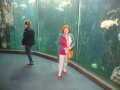 k800_dsc00948