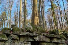 K640_IMG-20220312-WA0024