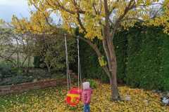 IMG-20201121-WA00211